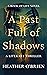 A Past Full of Shadows: A Literary Thriller (Book of Life, #3)