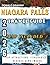 2026 NIAGARA FALLS TRAVEL G...