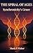 The Spiral Of Ages: Synchronicity's Grace. A spiritual adventure about ordinary people who are called, often reluctantly, by signs, coincidences and ancient relics to heal a fracture in time itself.