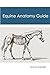 Equine Anatomy Revision Guide by Emma Hamlet