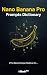 Nano Banana Pro Prompts Dic...