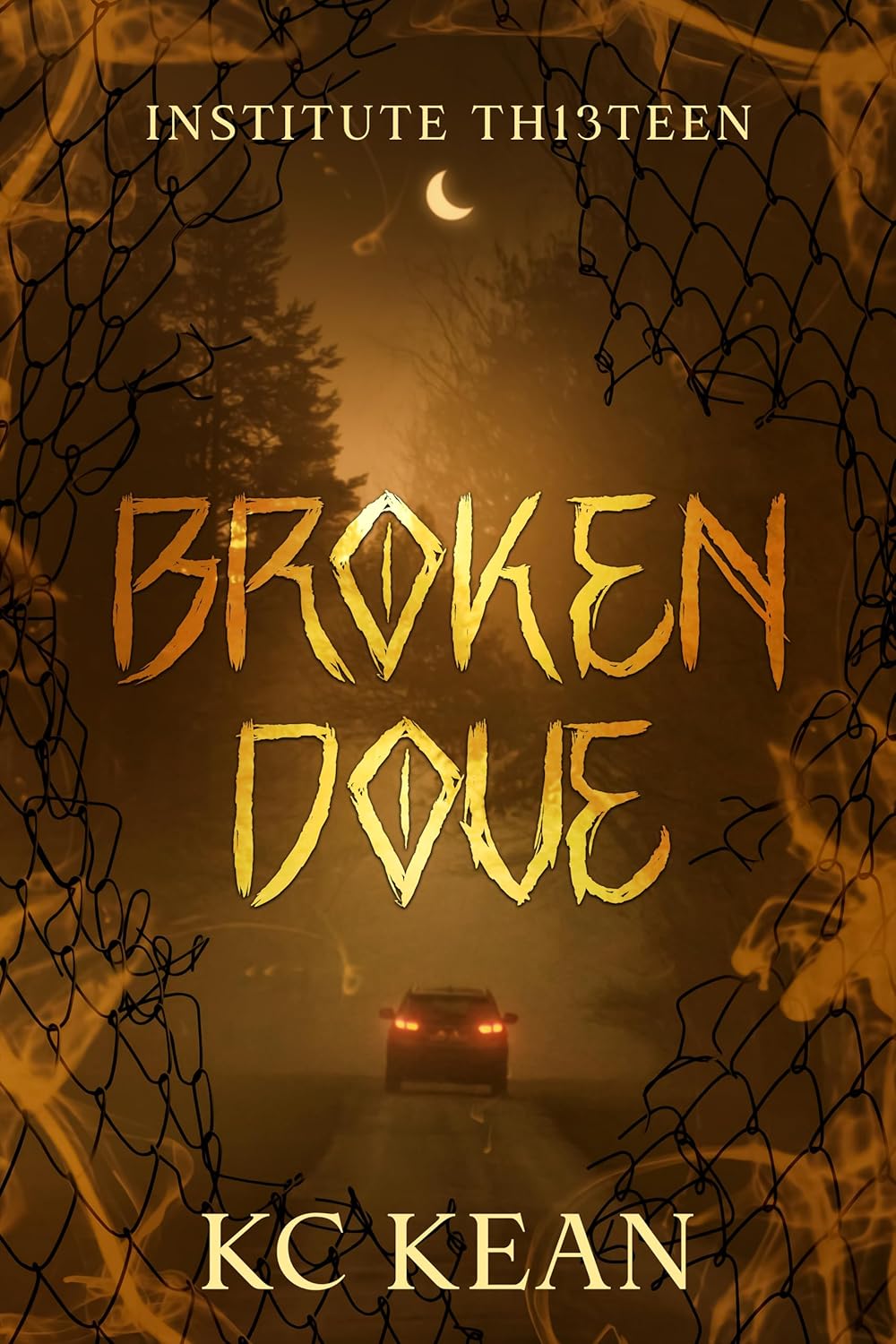 Broken Dove (Institute Thirteen #2)