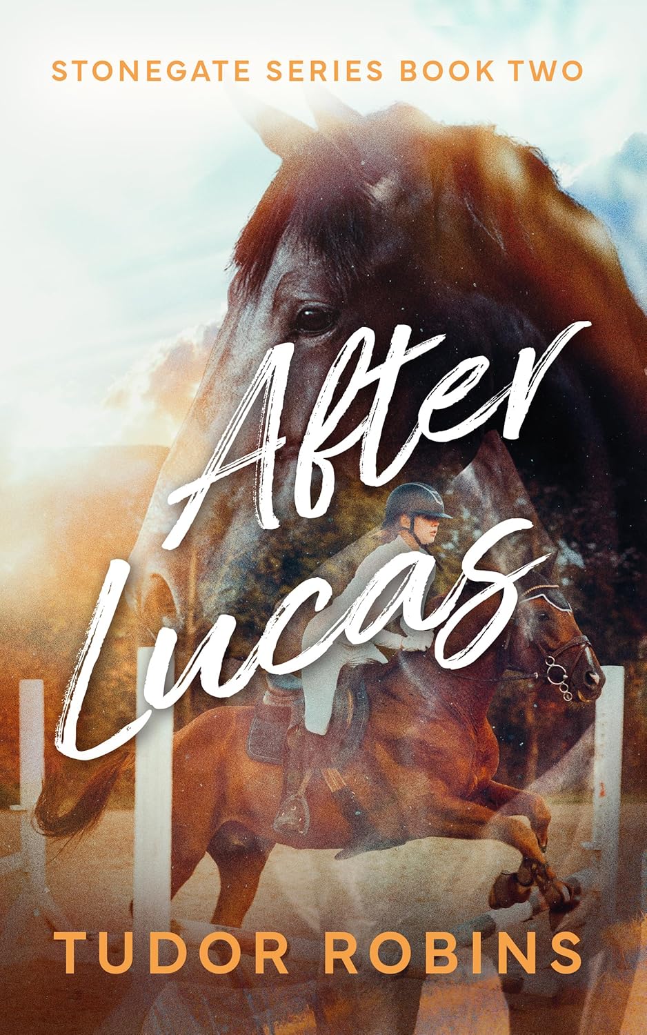 After Lucas (Stonegate, #2)
