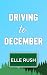 Driving to December by Elle Rush