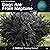 Dogs Are from Neptune by Jean Donaldson
