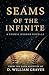 Seams of the Infinite by D William Graves