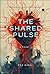 The Shared Pulse: Love and Transformation in a City of Crossings