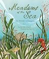 Meadows of the Sea: The Wonders of Seagrass