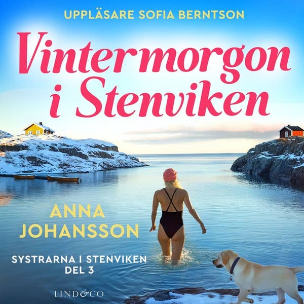 Vintermorgon i Stenviken