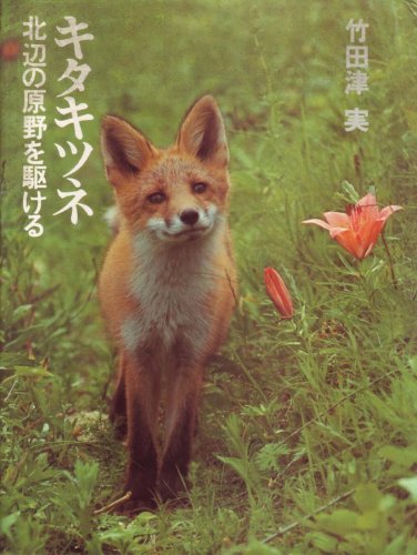 キタキツネ北辺の原野を駆ける (1974年)