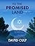 To The Promised Land by David Culp