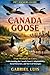 CANADA GOOSE: From Wetlands...