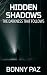 Hidden Shadows: The Darknes...