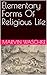 Elementary Forms Of Religio...