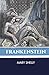 Frankenstein: A Gothic Tale...