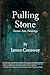 Pulling Stone: Poems, Pots, Paintings: Poems. Pots, Paintings