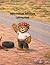 Teddy Truckins Adventure Co...