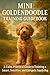 Mini Goldendoodle Training ...