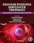 Cellular Therapies for Cancer Treatment: Advancements in Drug Delivery Strategies