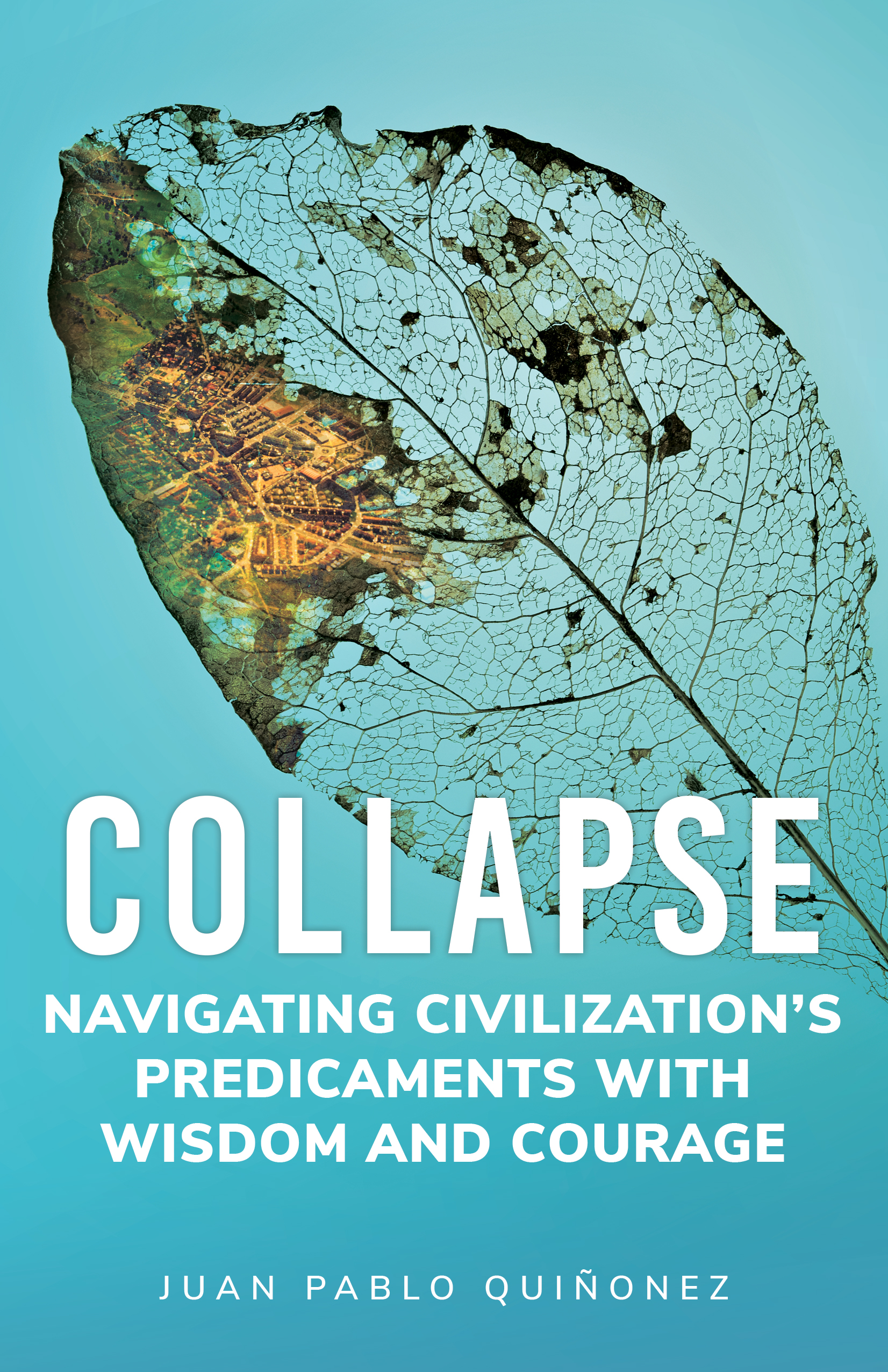 Collapse: Navigating Civilization's Predicaments With Wisdom and Courage (Paperback)
