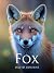 Fox: Tracking and Hunting