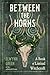 Between the Horns: A Book of Liminal Witchcraft