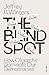 The Blind Spot by Jeffrey A. Winters