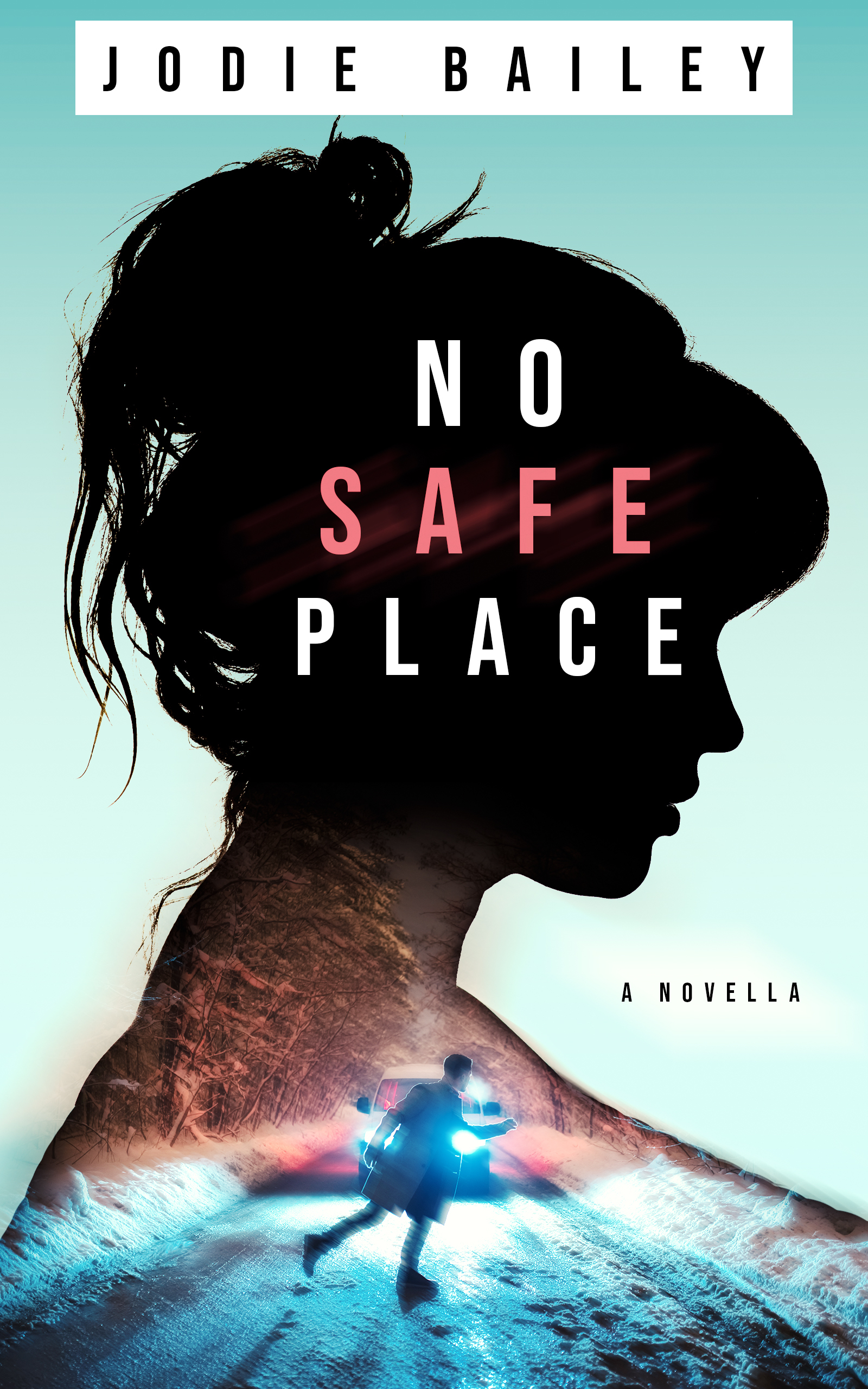 No Safe Place (ebook)