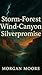 Storm-forest Wind-canyon Silverpromise by Morgan Moore