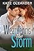Weathering the Storm (Kent ...