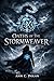 Oaths of the Stormweaver by Ann C. Dolan