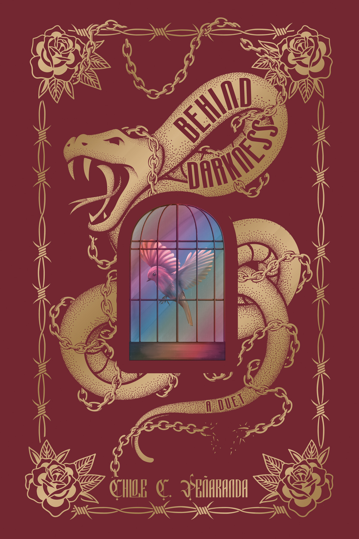 Behind Darkness Duet Omnibus