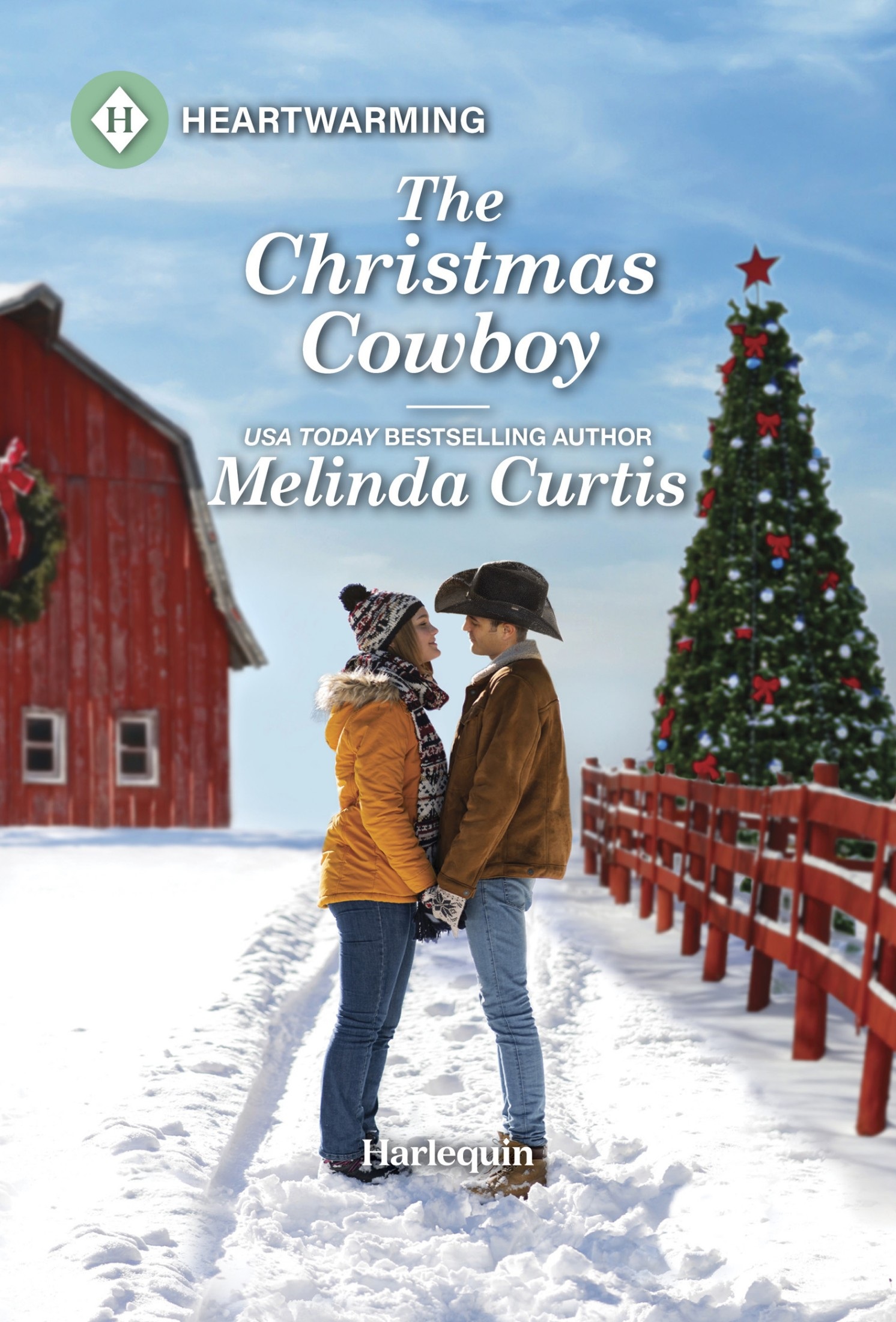 The Christmas Cowboy (The Cowboy Academy Book 9)