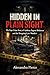 HIDDEN IN PLAIN SIGHT: The ...