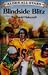 Blindside Blitz by David Halecroft