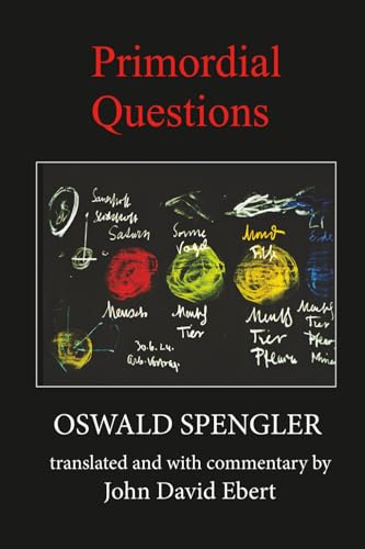 Primordial Questions (Paperback)