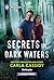 Secrets in Dark Waters (A Bayou Investigation, 3)