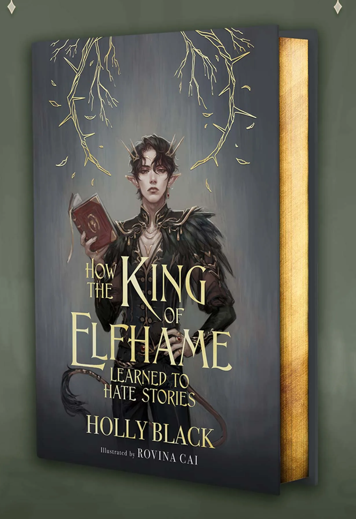 How the King of Elfhame Learned to Hate Stories