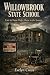Willowbrook State School: Care in Name Only: Abuse in the System