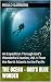 The Ocean - God's Blue Wond...