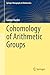 Cohomology of Arithmetic Groups (Springer Monographs in Mathematics)