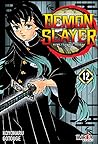 Demon Slayer 12
