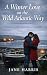 A Winter Love on the Wild Atlantic Way by Jane Harris