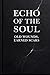 Echo of the Soul: Old Wound...