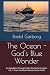 The Ocean - God's Blue Wond...
