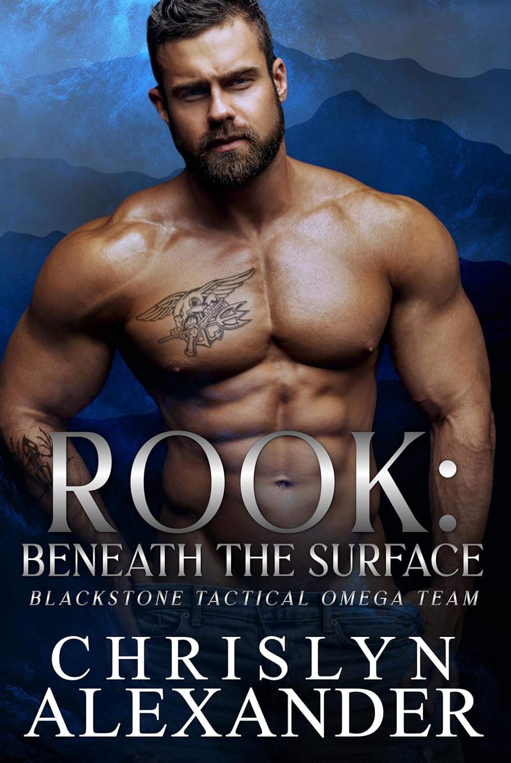 Rook: Beneath the Surface (Blackstone Tactical Omega Team #2)