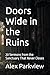 Doors Wide in the Ruins by Alex Parkview