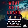 What Boys Learn