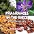 Fragrances in the Bible by Chelsea Kong