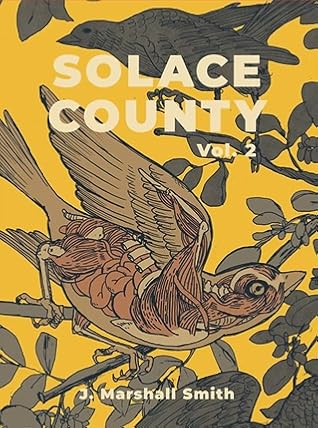 Solace County Vol. 2